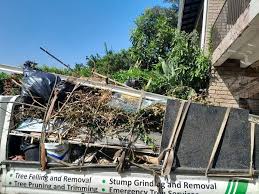 Best Scrap Metal Removal  in Carey, OH